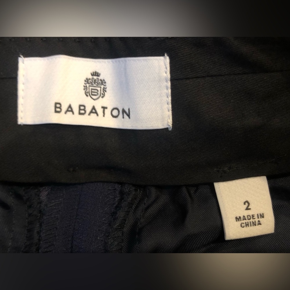 Aritzia Babaton Trouser - Picture 3 of 5